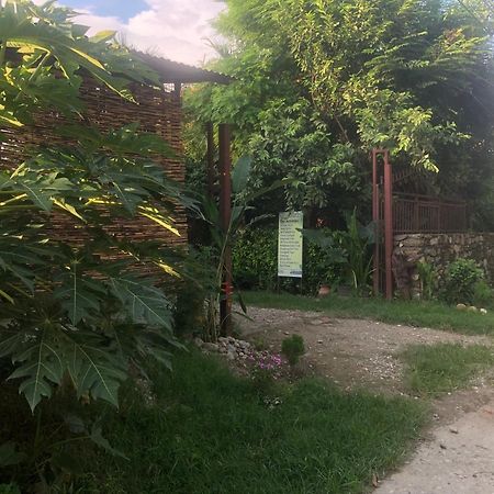 Tara Guesthouse - Sauraha,Chitwan Εξωτερικό φωτογραφία