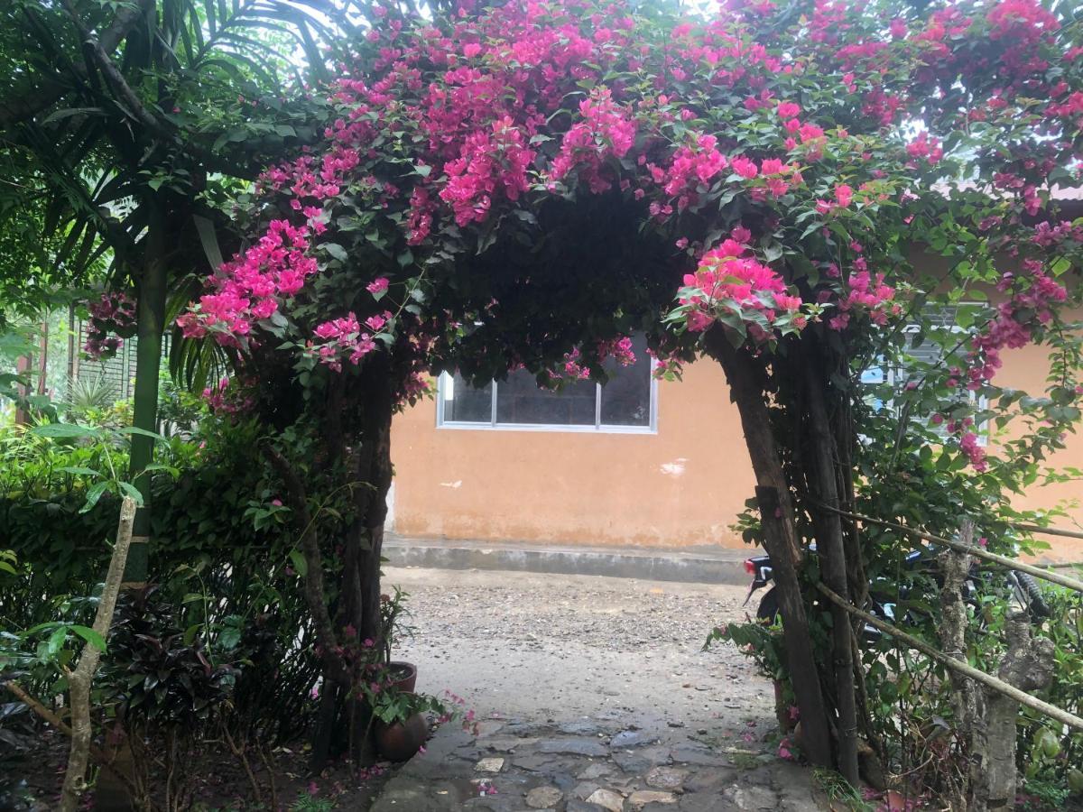 Tara Guesthouse - Sauraha,Chitwan Εξωτερικό φωτογραφία