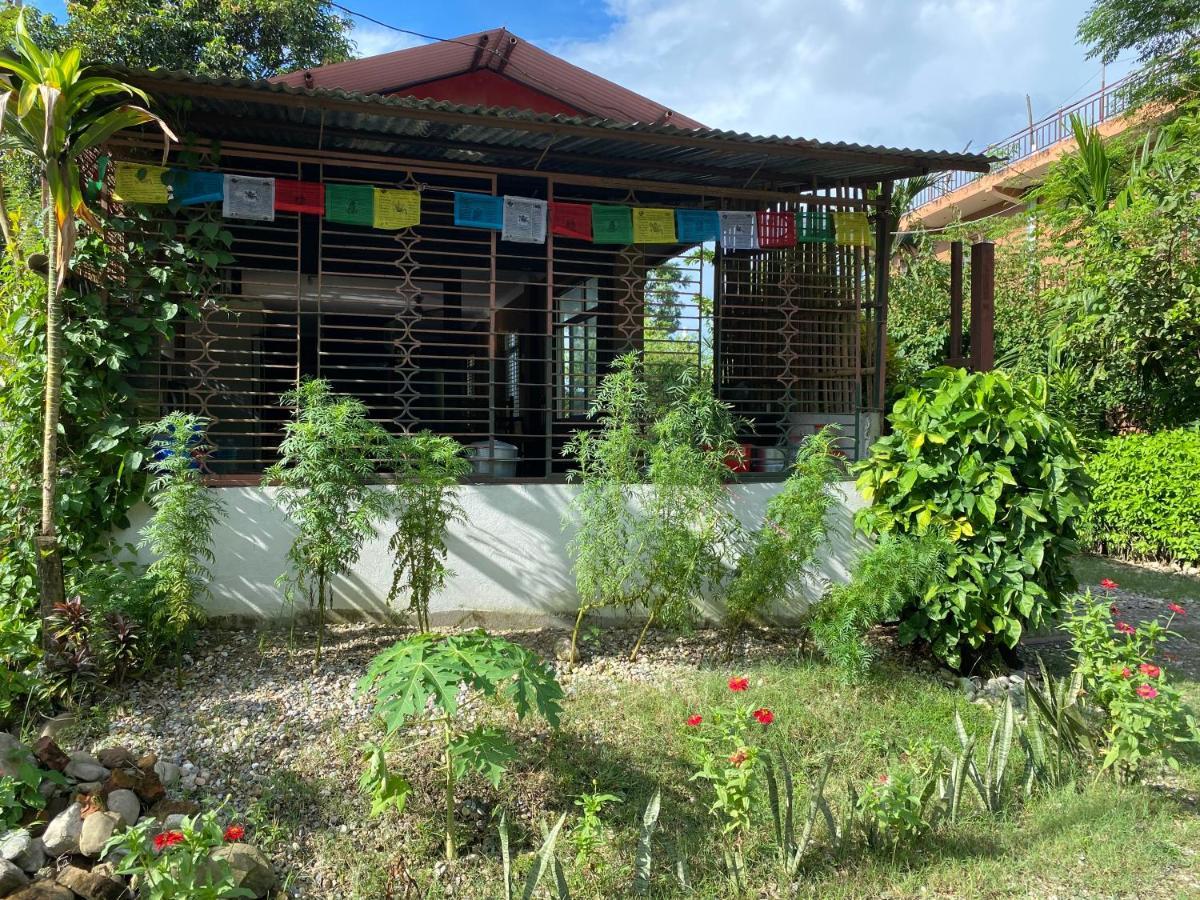 Tara Guesthouse - Sauraha,Chitwan Εξωτερικό φωτογραφία