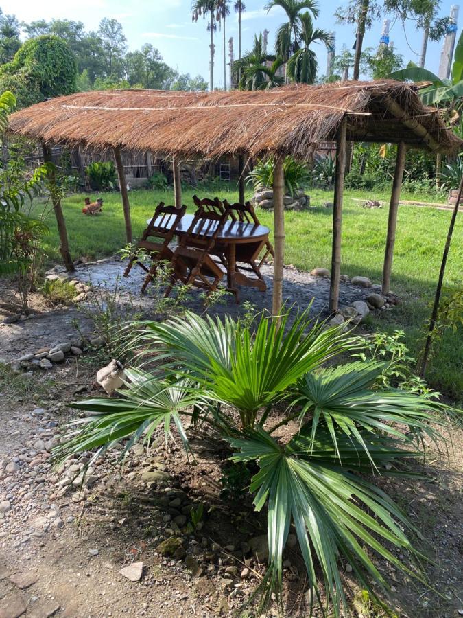 Tara Guesthouse - Sauraha,Chitwan Εξωτερικό φωτογραφία