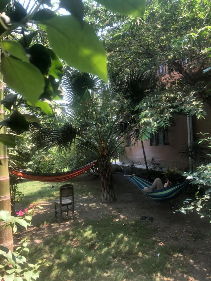 Tara Guesthouse - Sauraha,Chitwan Εξωτερικό φωτογραφία