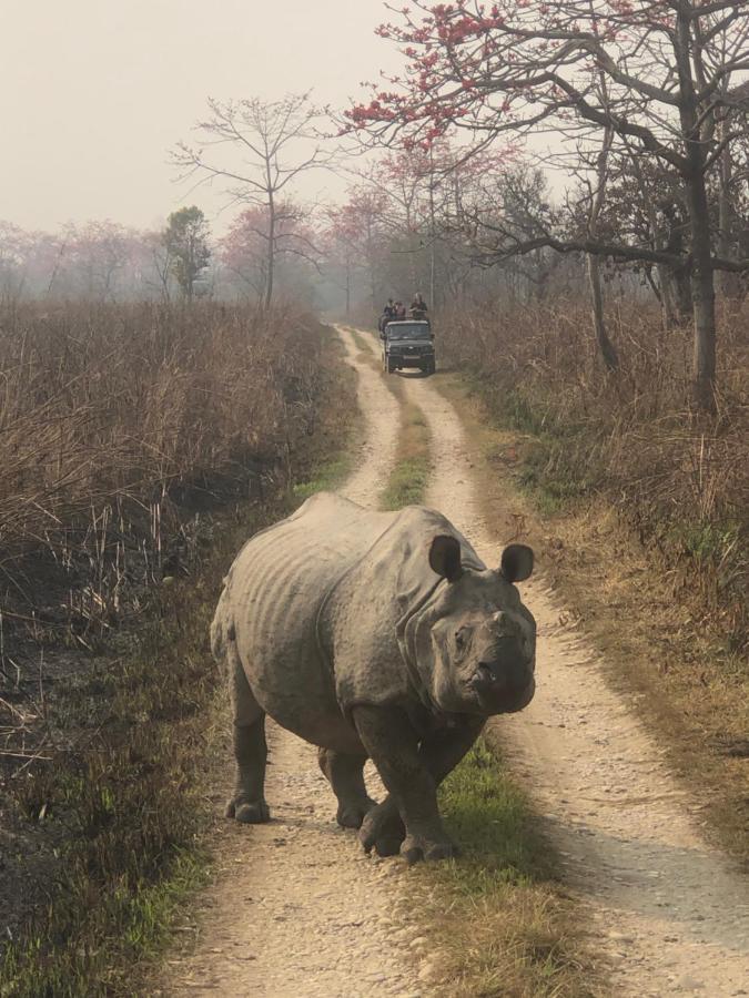 Tara Guesthouse - Sauraha,Chitwan Εξωτερικό φωτογραφία