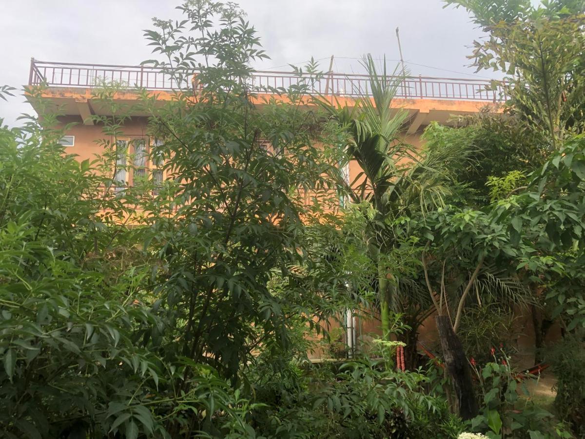 Tara Guesthouse - Sauraha,Chitwan Εξωτερικό φωτογραφία