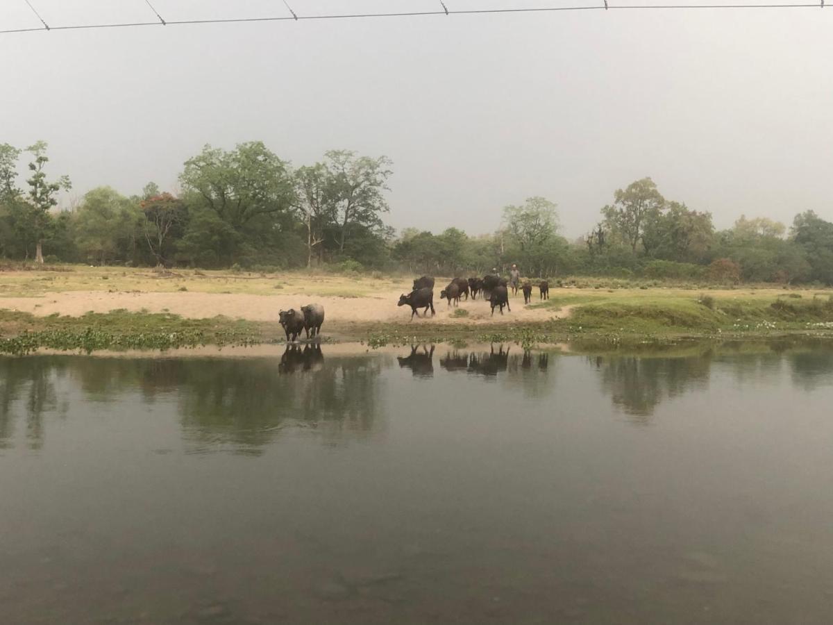 Tara Guesthouse - Sauraha,Chitwan Εξωτερικό φωτογραφία