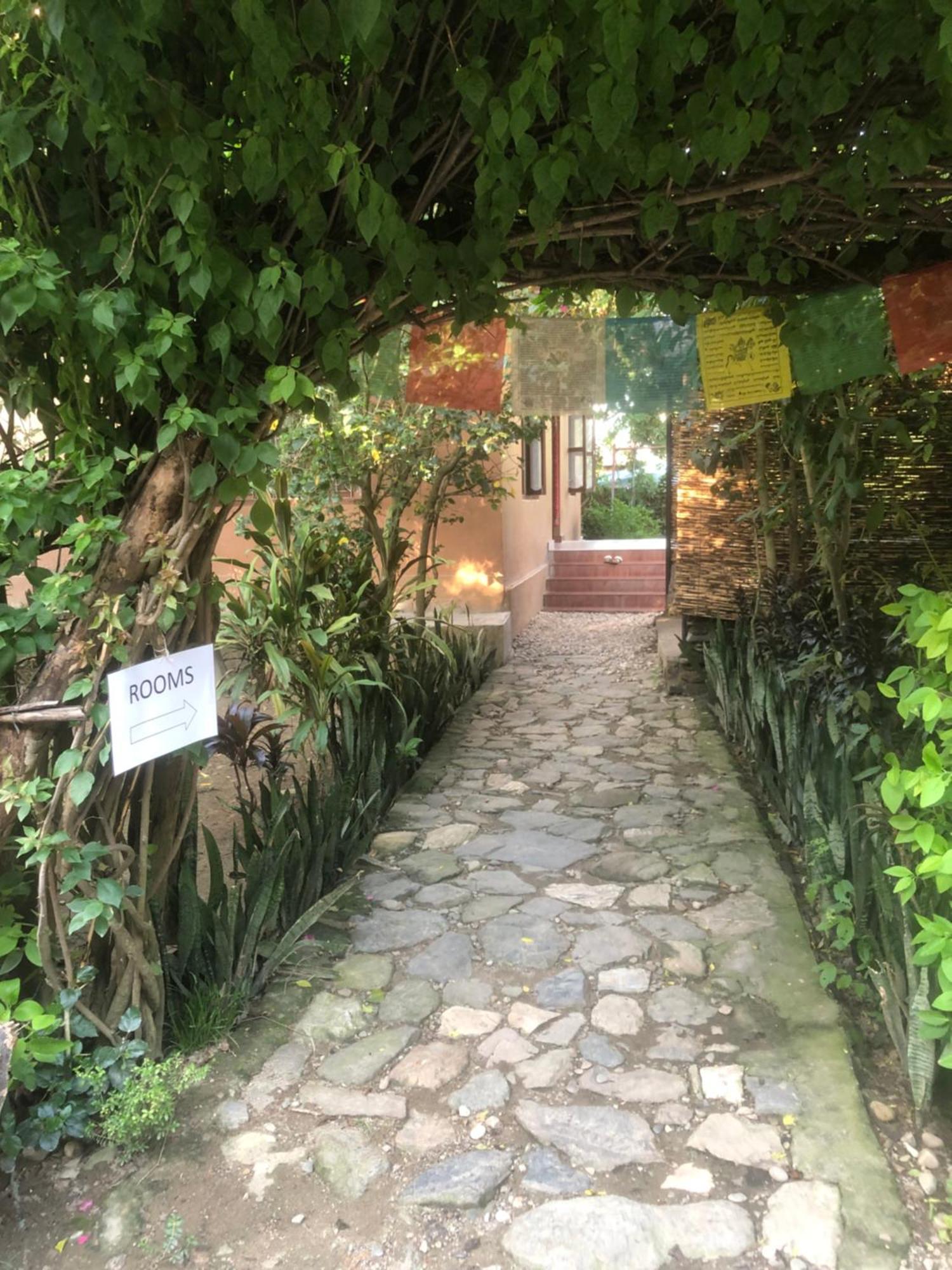 Tara Guesthouse - Sauraha,Chitwan Εξωτερικό φωτογραφία